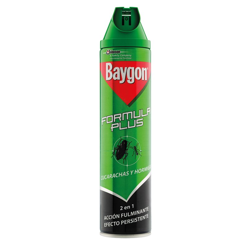 BAYGON INSECT C&H 600ML