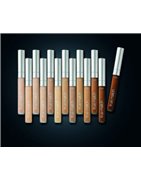 ACCORD PERFECT CONCEALER
